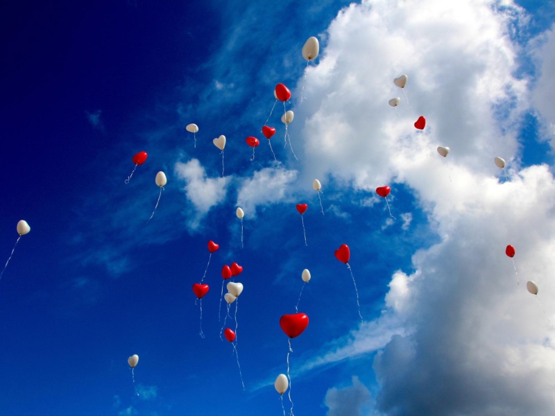 Cloud als Alternative