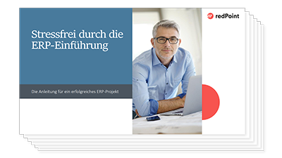 Visualisierung Checkliste ERP-Einführung
