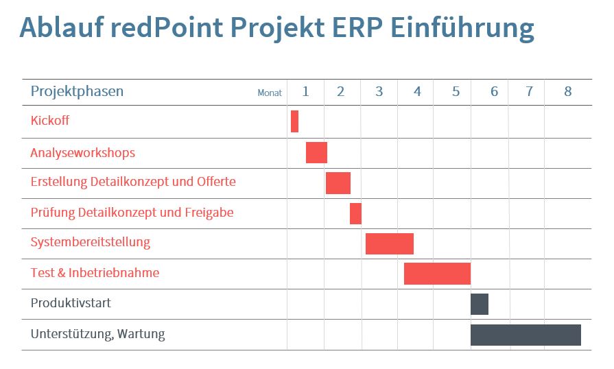 Ablauf ERP-Einführung bei redPoint