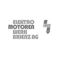 Elektro Motorenwerk Brienz AG