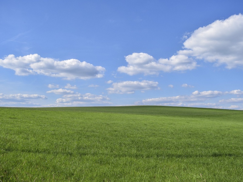 Jetzt in die Cloud wechseln
