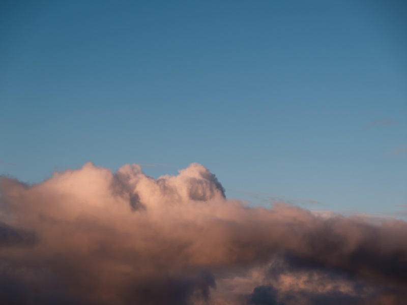 ERP-Migration in die Cloud