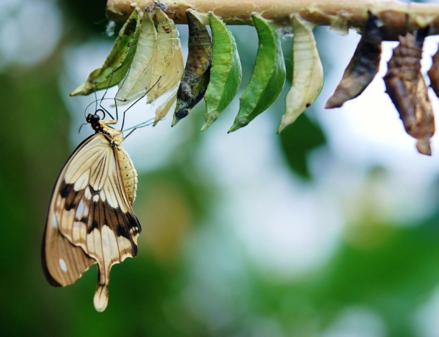 Digitale Transformation für Schweizer KMU – Status quo & Herausforderungen
