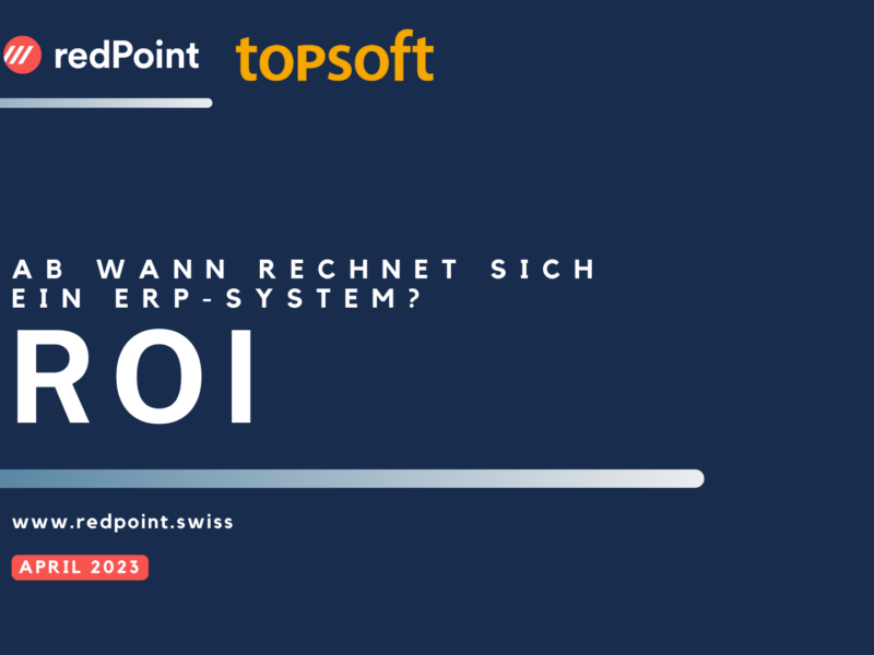 Ab wann rechnet sich ein ERP-System?